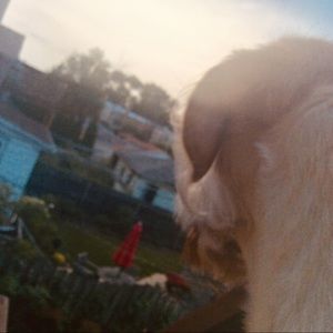 Meet your Posher, Stella